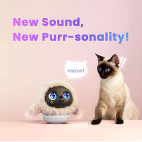 Ropet Will Unveil New 'Kitten Voice'