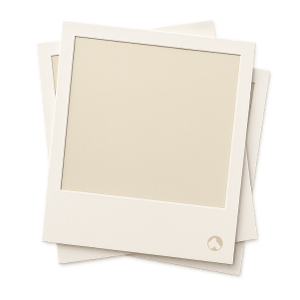 Dream Sketch -- Canvas