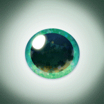 🎄 Merry Evergreen — Magic Christmas Tree Eyes